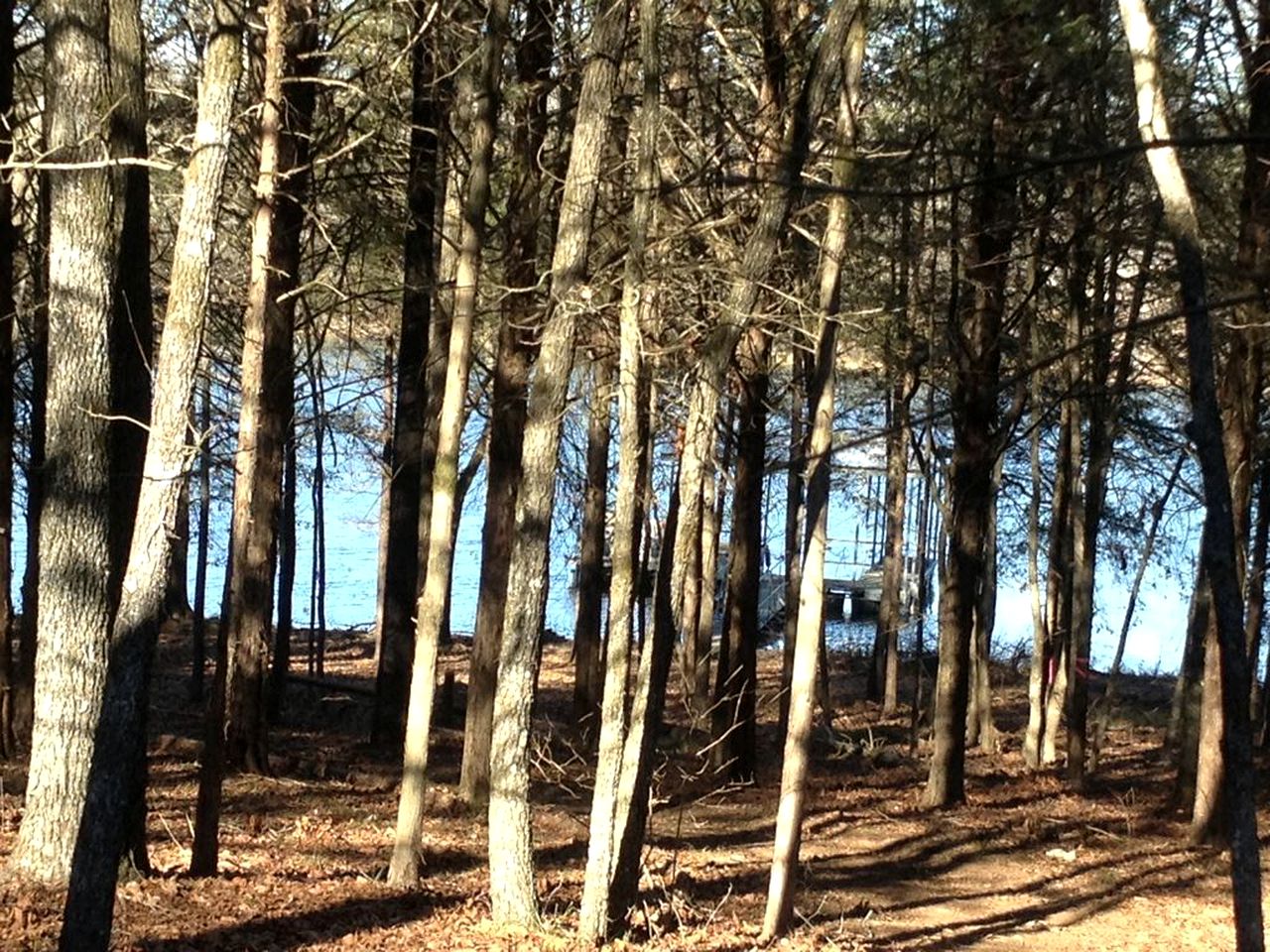 Spacious Lakefront Camping Cabin with Private Dock near Petit Jean State Park, Arkansas