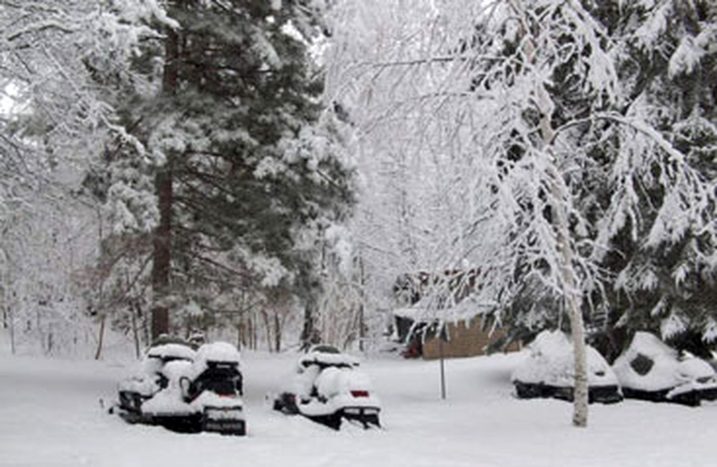 Four-Person Cabin Rental on a Lake in Crow Wing County, Minnesota