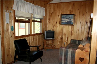 undefined photo 3
