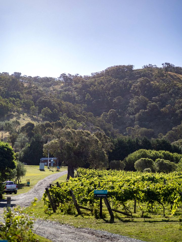 Lake George Winery Glamping near Canberra