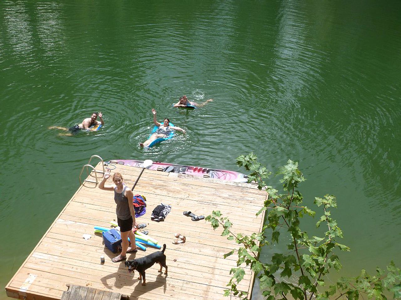 Cabin Rental on Watauga Lake, Tennessee