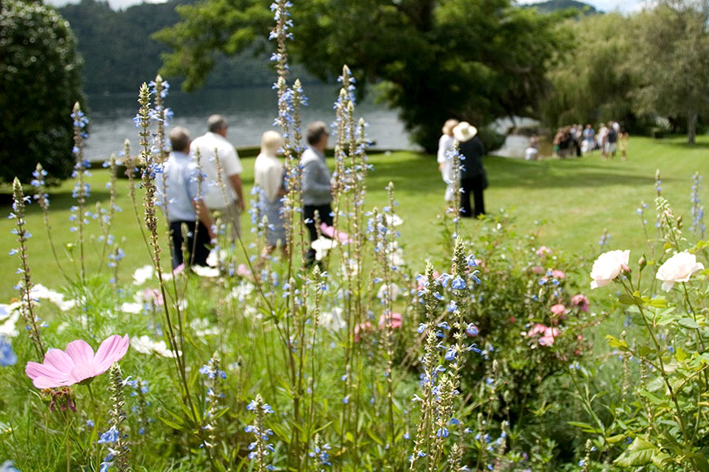 Family-Friendly Cottage Rental on the Shore of Lake Okareka, North Island