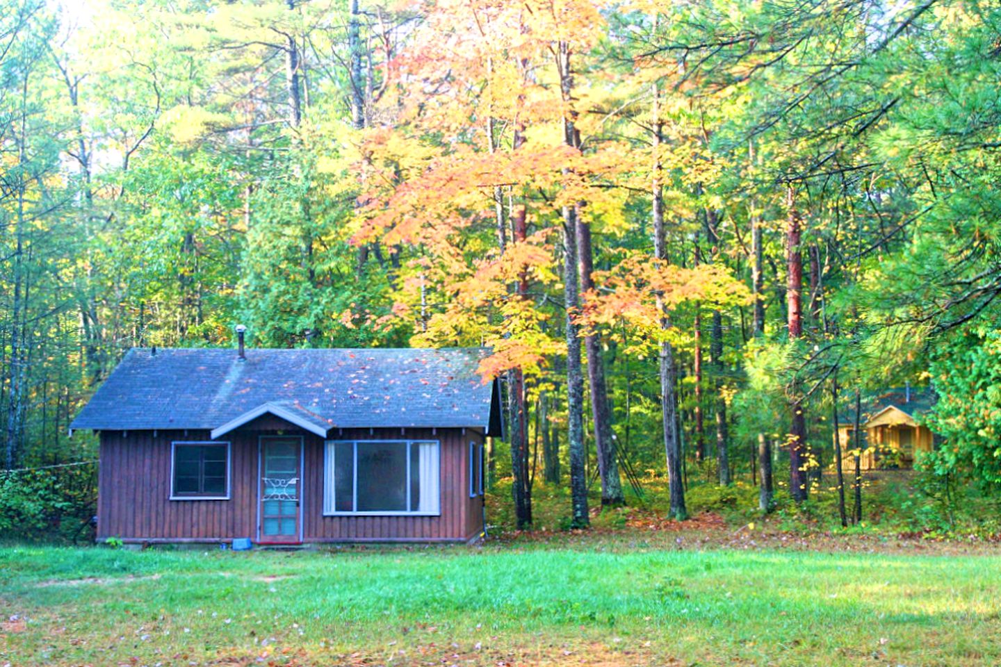 Lake Huron Cabin Getaway for Five in Ossineke Township, Michigan