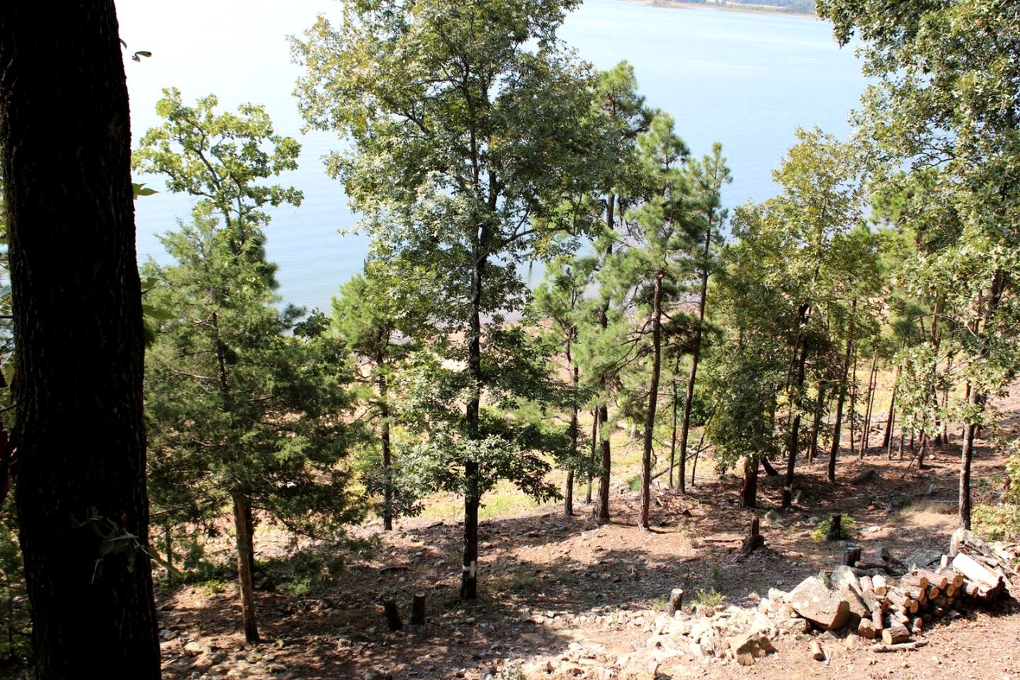 Breathtaking Wooden Cabin with Great Sights in Edgemont, Arkansas