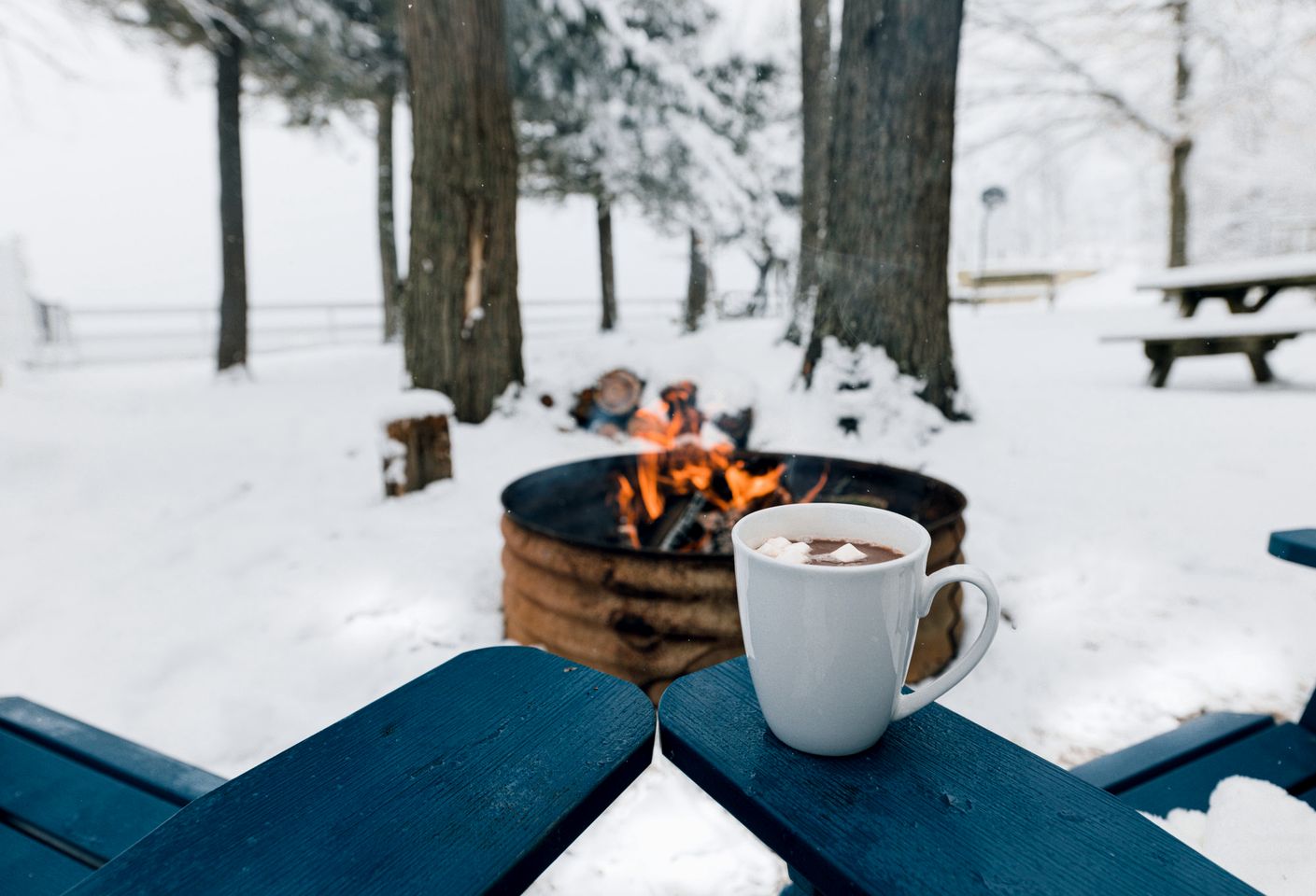 Lake Michigan Retreats in this Charming Cabin Rental with Fire-Pit