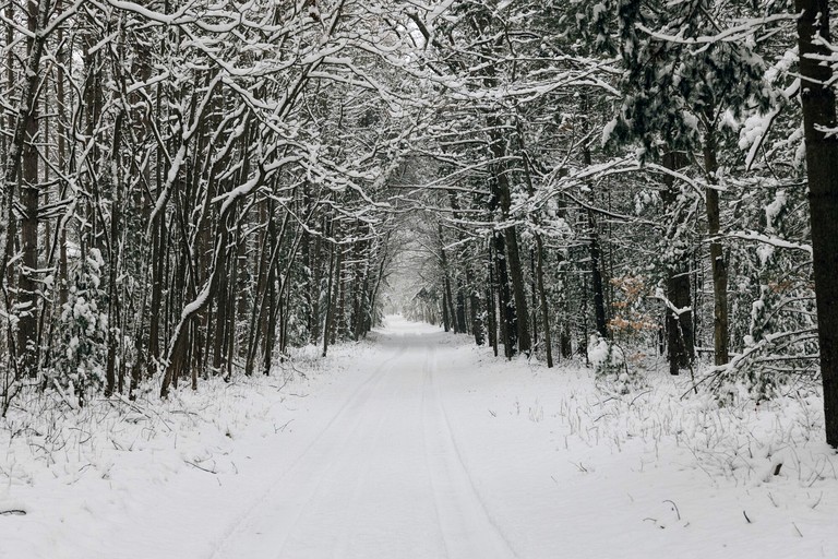 Cabins (United States of America, Muskegon, Michigan)
