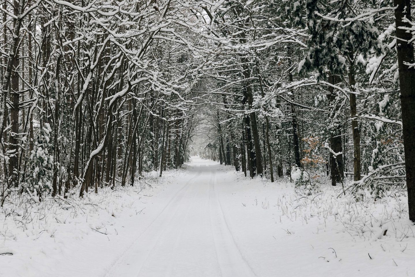 Lake Michigan Retreats in this Charming Cabin Rental with Fire-Pit