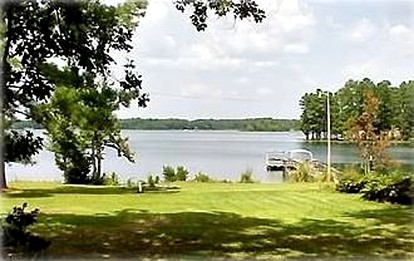 undefined photo 3
