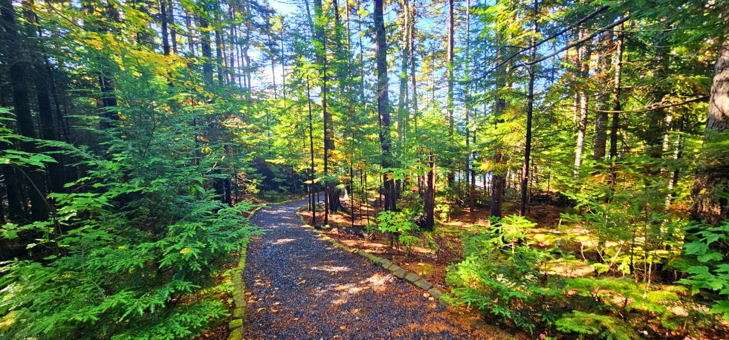 Scenic Lakefront Escape with Spacious Deck & Nature Views in Greenville, Maine