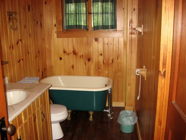 undefined photo 5