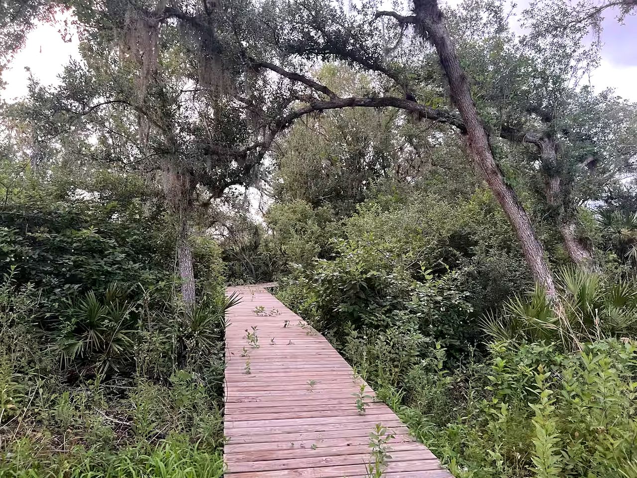 Off-Grid, Lakeside Tiny Home in Punta Gorda, Florida, Perfect for a Weekend Getaway