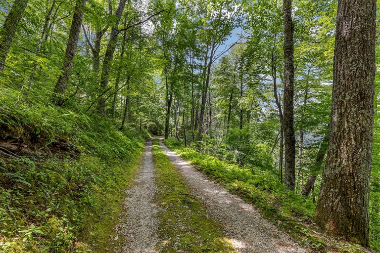 Cottages (United States of America, Cashiers, North Carolina)