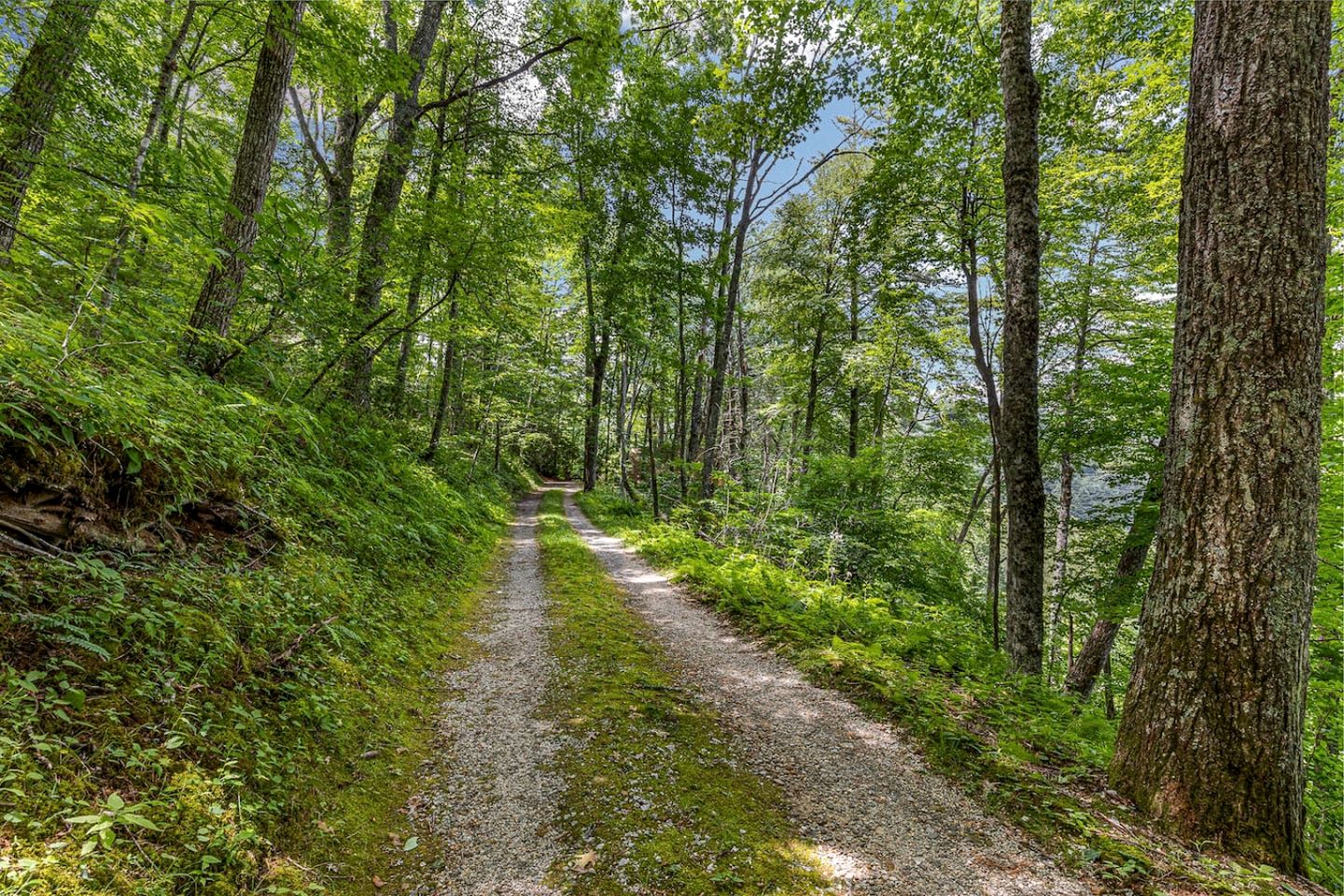 Homey Cottage with Incredible Lake View in the Woods near Cashiers, North Carolina