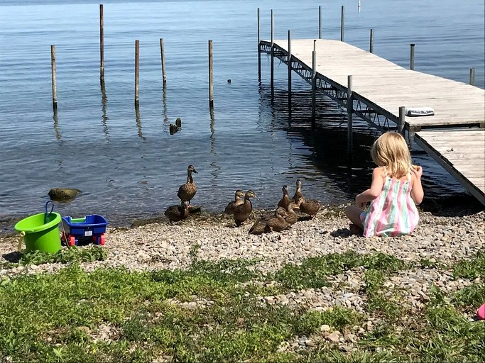 Cottages (United States of America, Dresden, New York)
