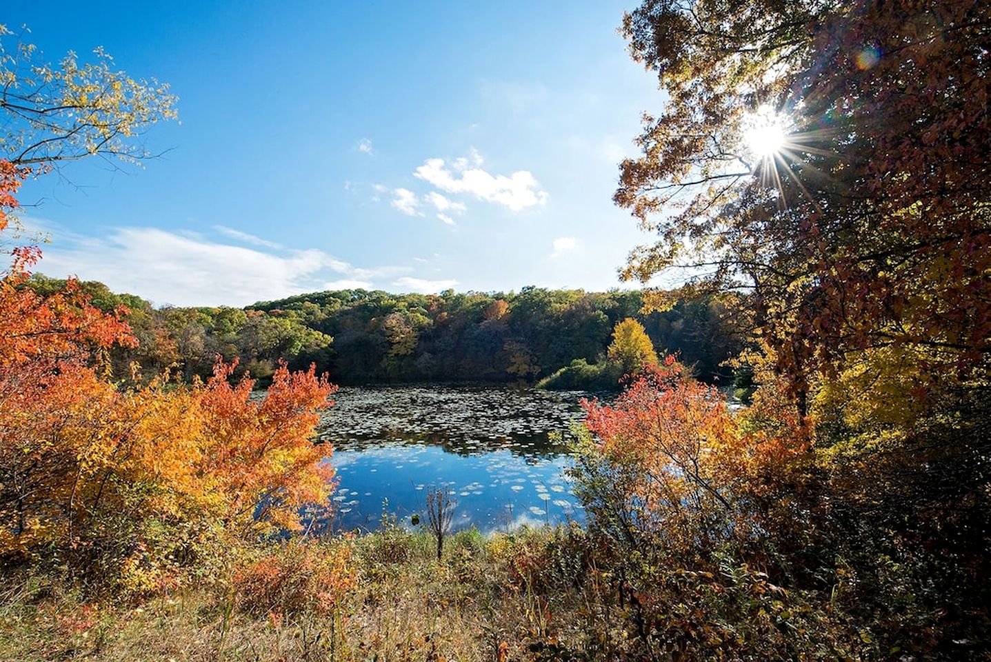 Lakefront Cottage Fully Equipped with Excellent Location in Saint Croix Falls, Wisconsin