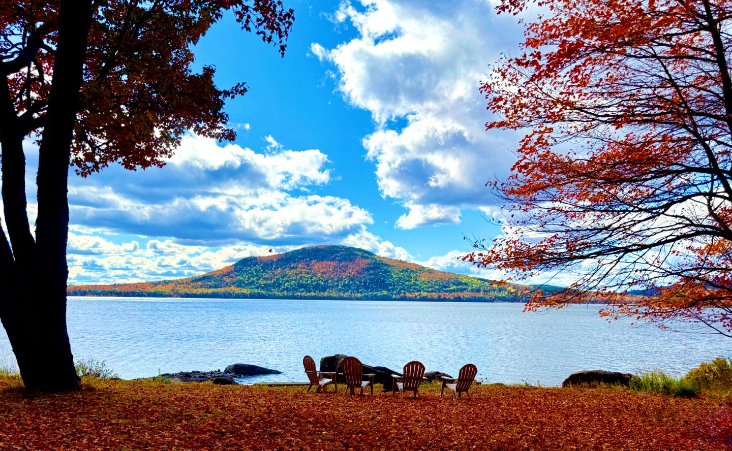 Vivid Lakefront Cottage Paradise Near Big Wood Lake, Maine