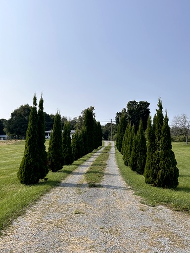 Cottages (Canada, Prince Edward, Ontario)