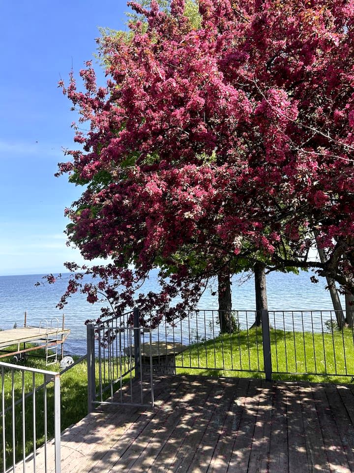 Lakefront Cottage with Private Dock and Luminous Minimalist Interior in Tennessee