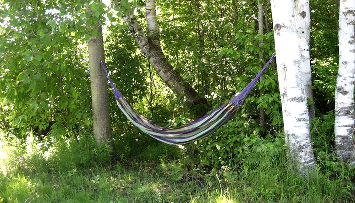 Lakefront Cottage with Kayaks and Canoe in Sundridge, Ontario