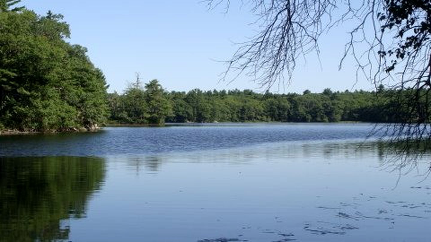 Lakefront Log Cabin Rental Overlooking the East Shore of Muscongus Pond