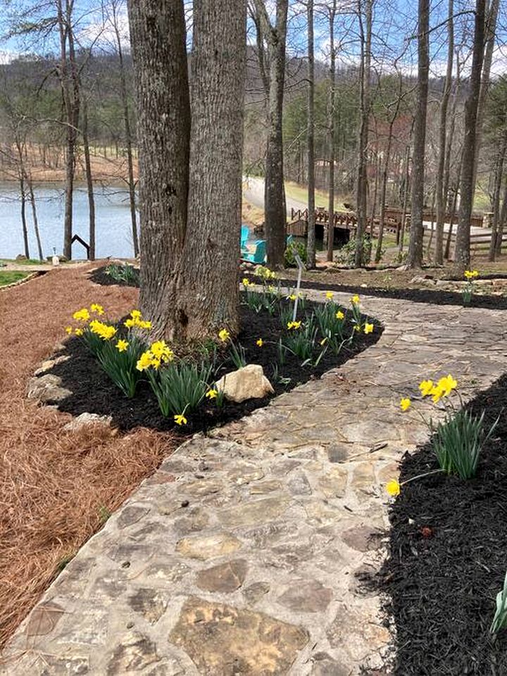 Lakefront Log Elegance: True Cabin with Hot Tub and Sauna Amidst Mountain Views