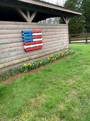Log Cabins (United States of America, Gilmer County, Georgia)