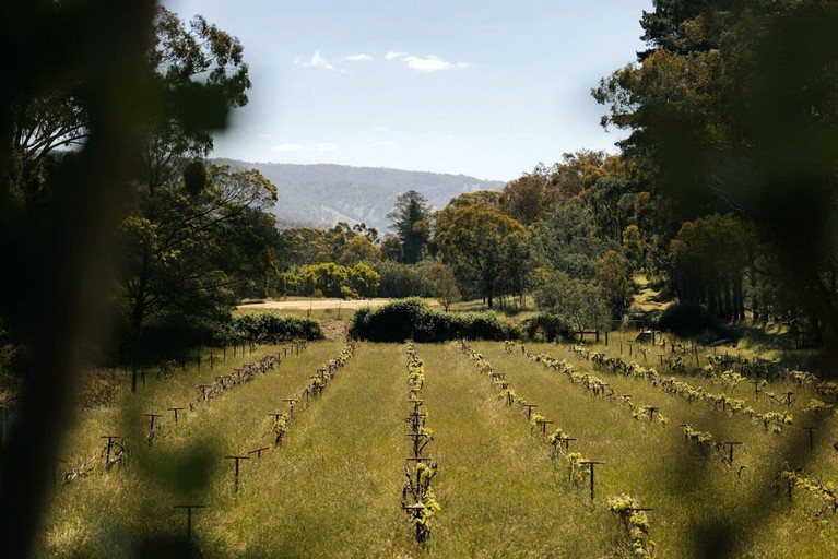 Tiny Houses (Australia, Flowerdale, Victoria)