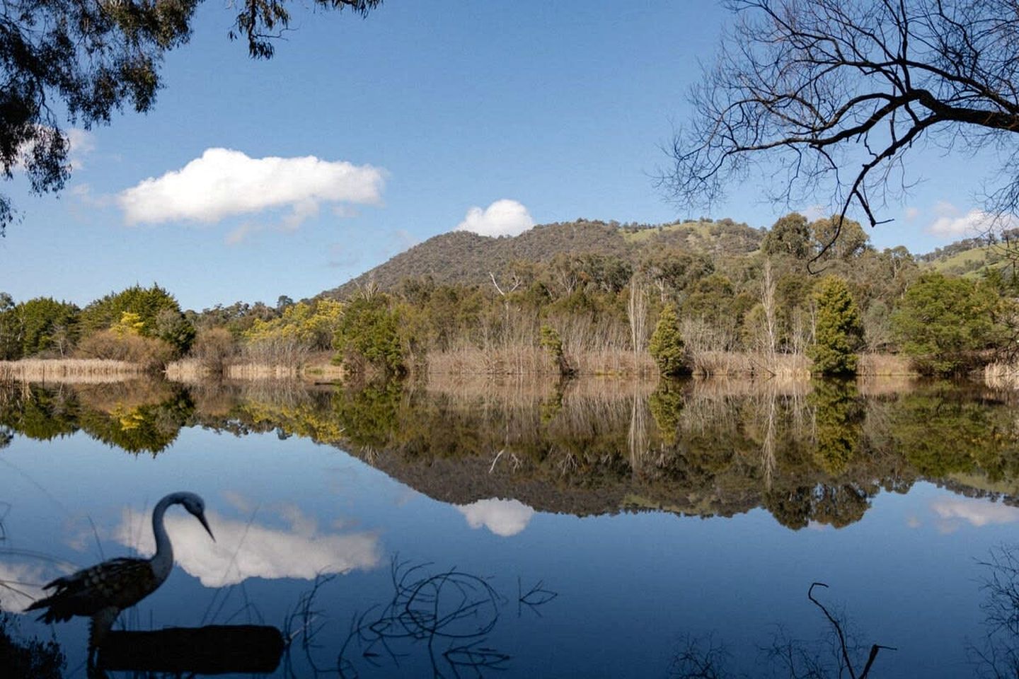 Picturesque Lakefront Tiny House for Tranquil Glamping in Victoria