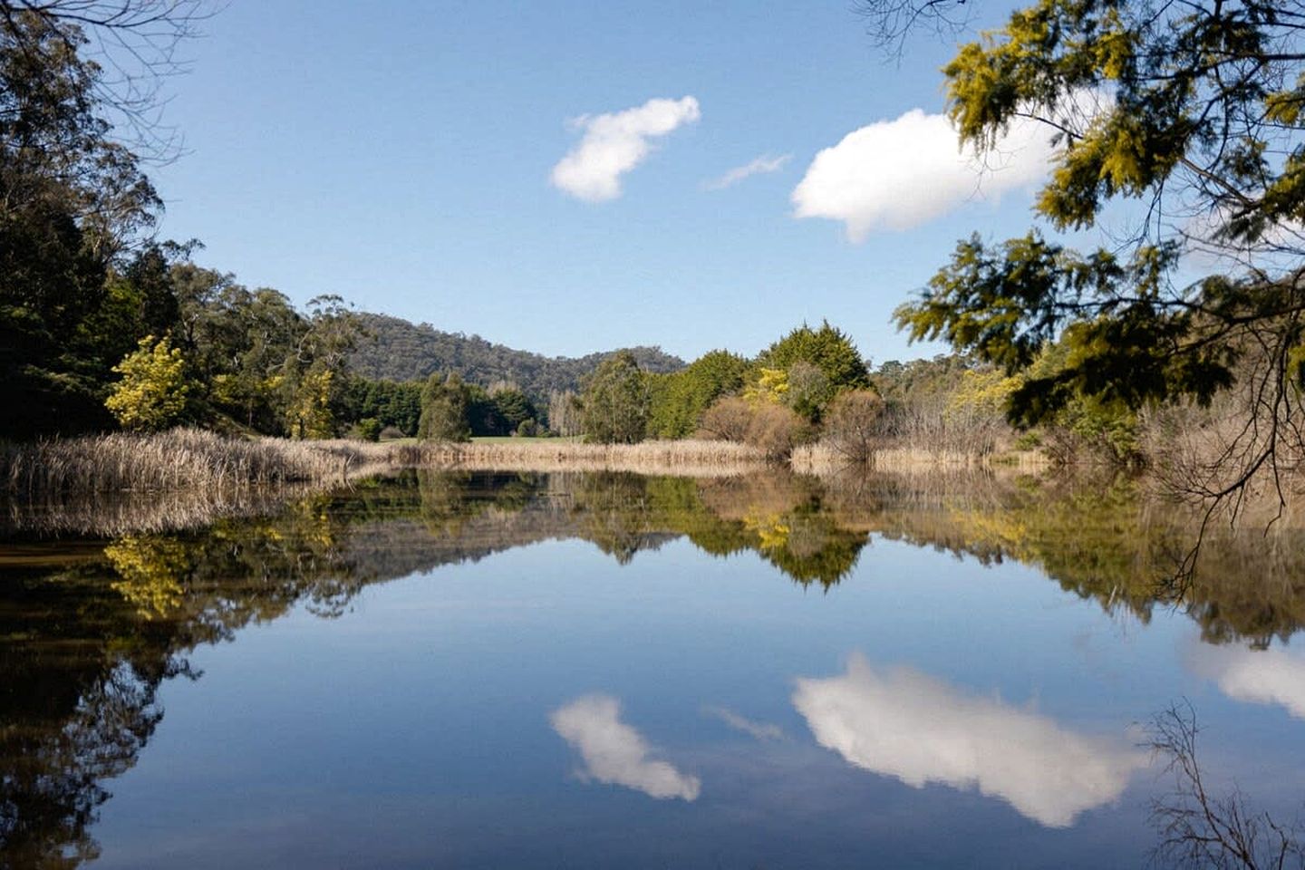 Picturesque Lakefront Tiny House for Tranquil Glamping in Victoria