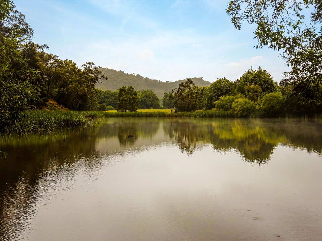 Picturesque Lakefront Tiny House for Tranquil Glamping in Victoria