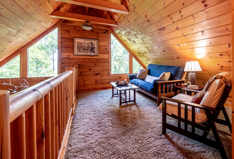 Cabins (United States of America, Topton, North Carolina)