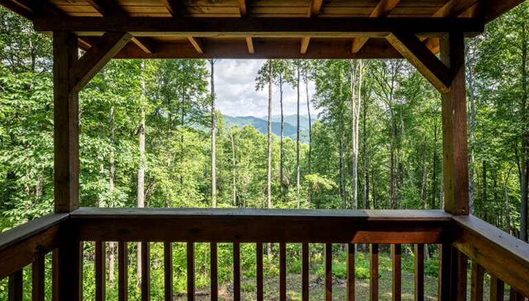 Cabins (United States of America, Topton, North Carolina)