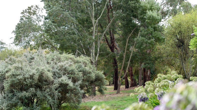 Vacation Rentals (Australia, Daylesford, Victoria)