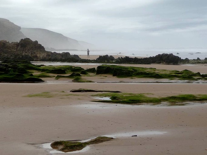 Cottages (Essaouira, Marrakesh-Safi Region, Morocco)