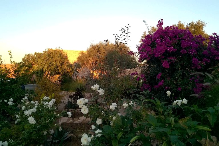 Cottages (Essaouira, Marrakesh-Safi Region, Morocco)