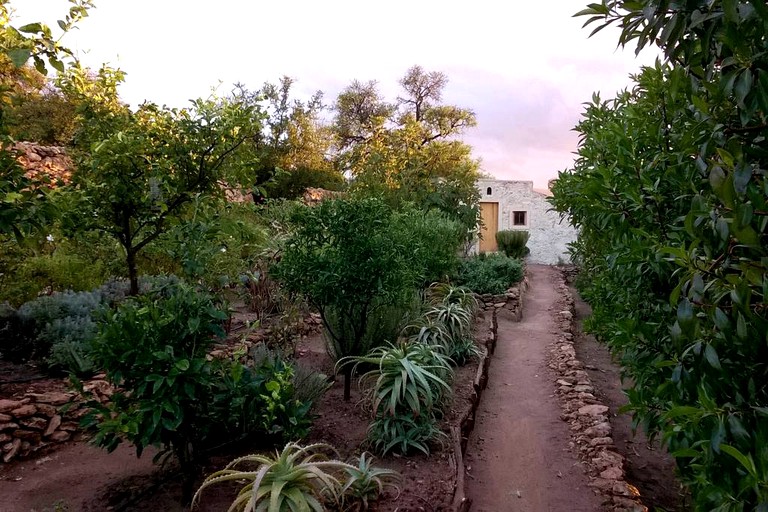 Cottages (Essaouira, Marrakesh-Safi Region, Morocco)