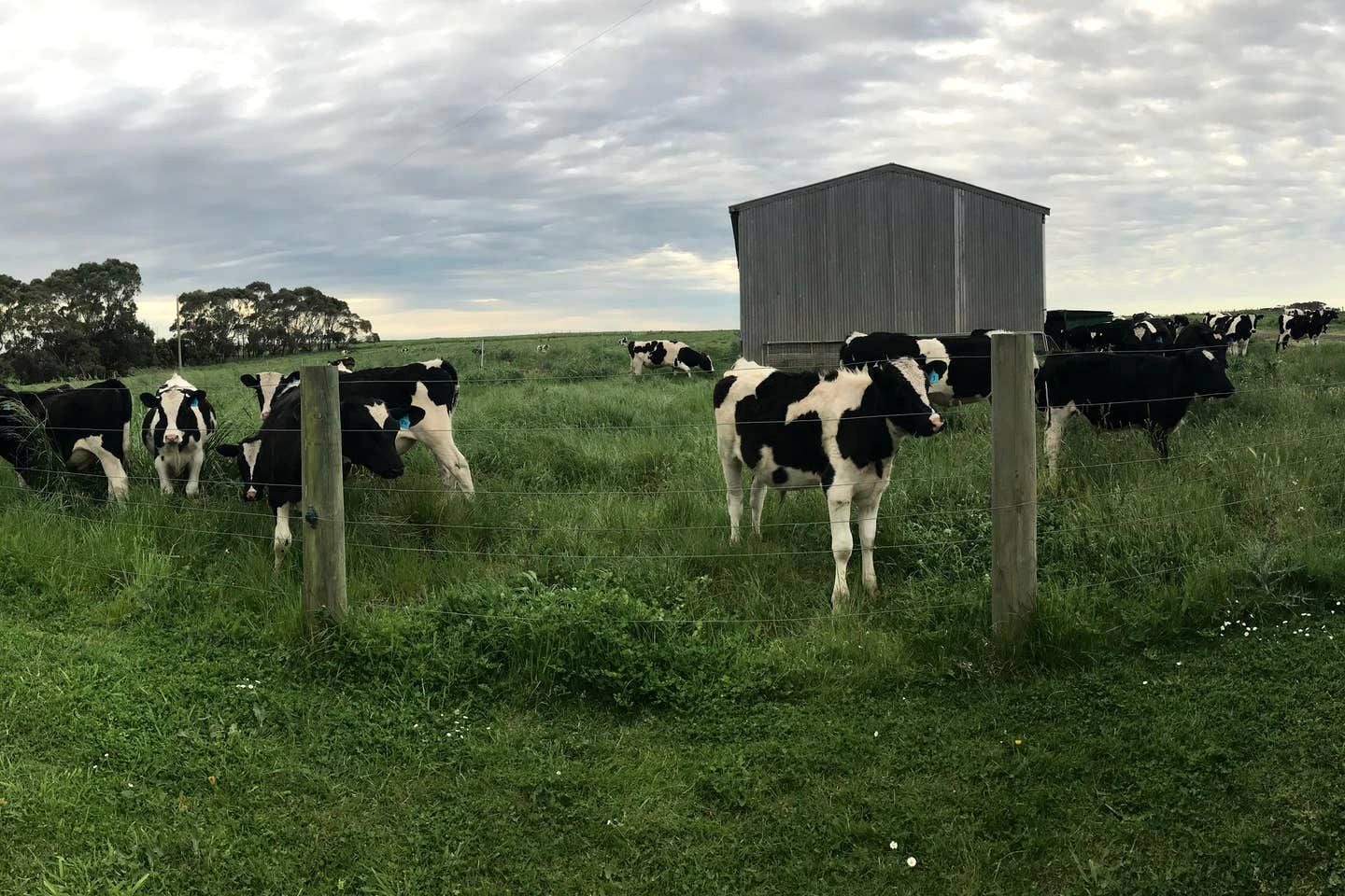 Peaceful Port Campbell Accommodation for Weekend Getaways in Victoria