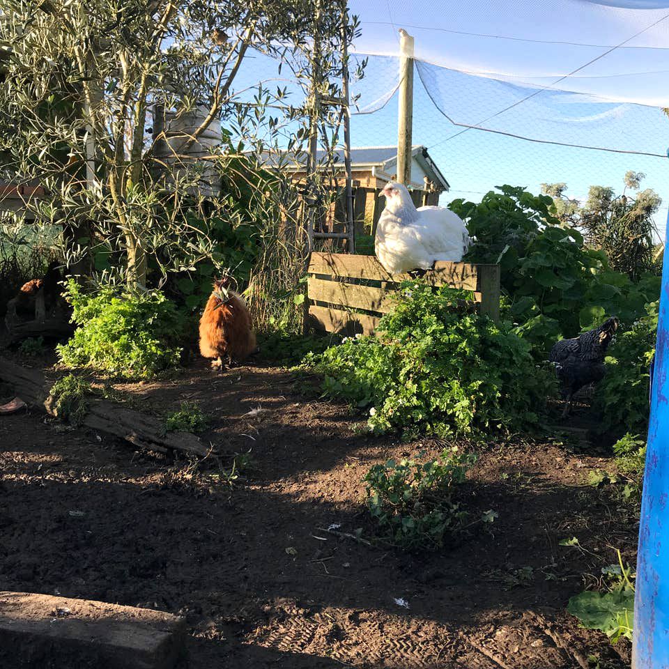 Peaceful Port Campbell Accommodation for Weekend Getaways in Victoria