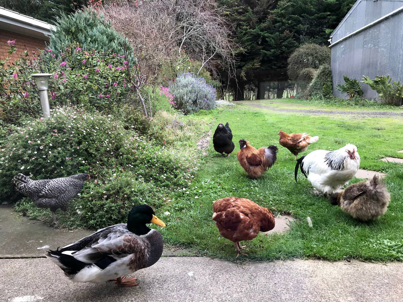 Peaceful Port Campbell Accommodation for Weekend Getaways in Victoria