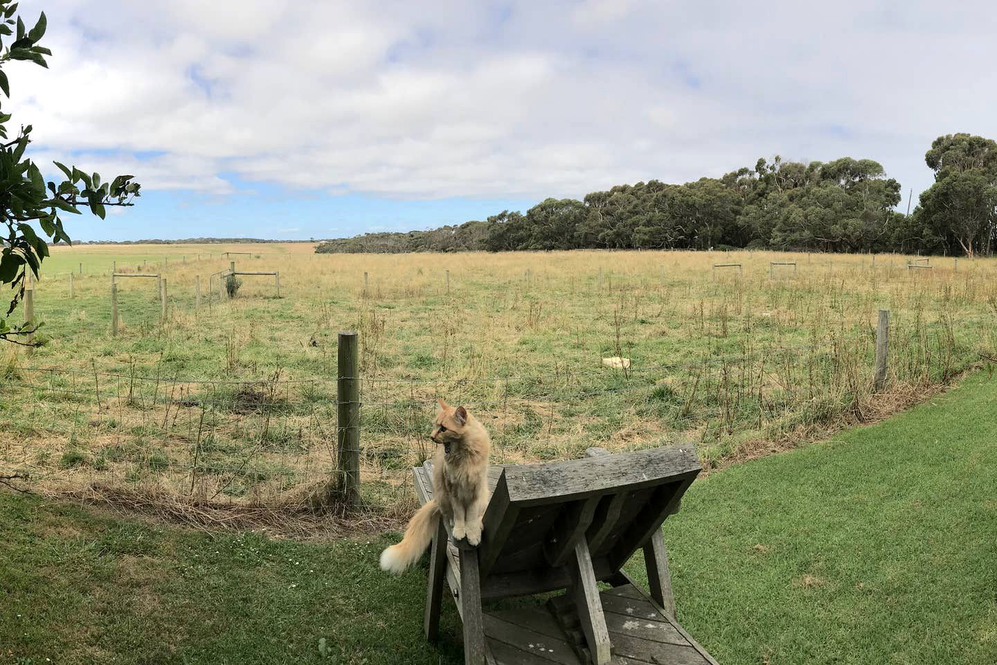 Peaceful Port Campbell Accommodation for Weekend Getaways in Victoria