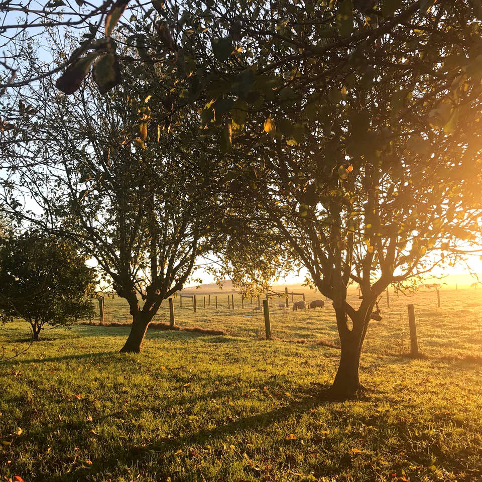 Peaceful Port Campbell Accommodation for Weekend Getaways in Victoria