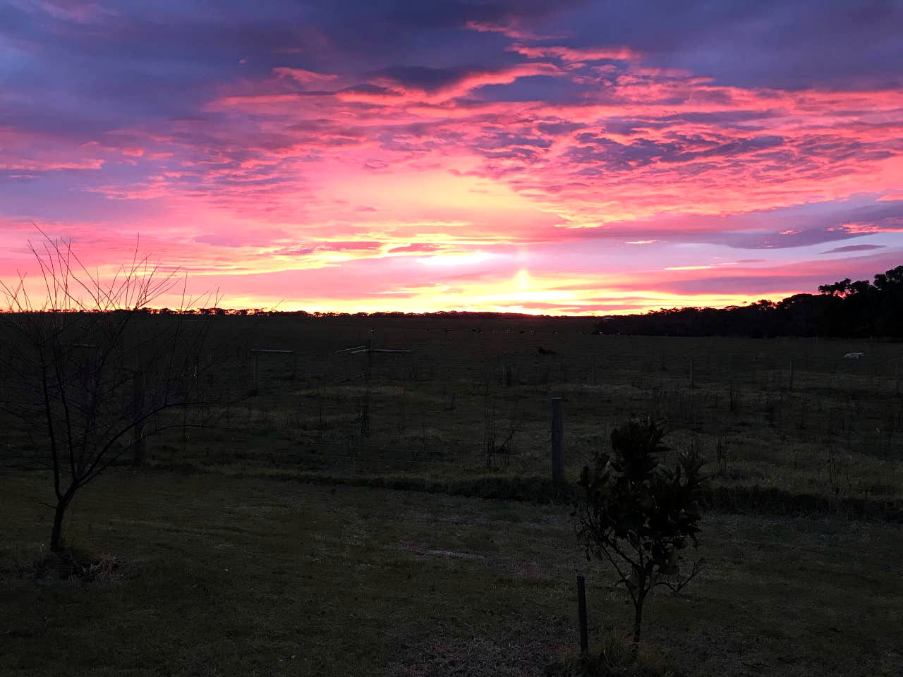 Peaceful Port Campbell Accommodation for Weekend Getaways in Victoria