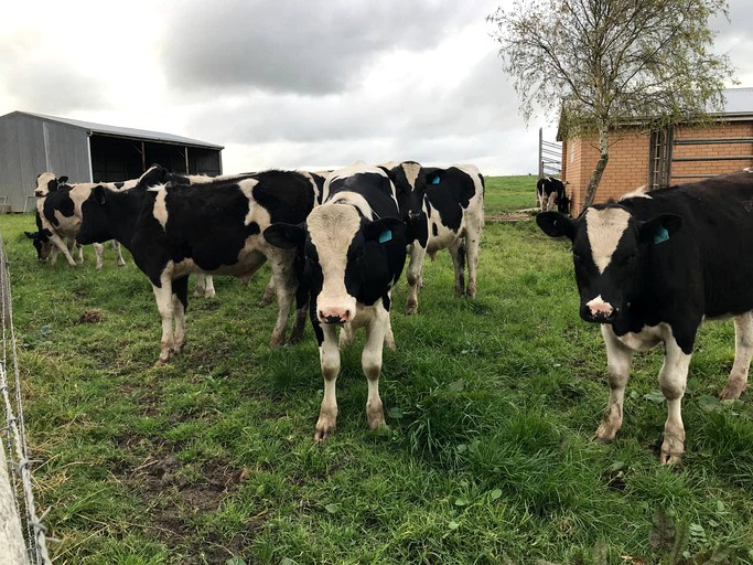 Cabins (Port Campbell, Victoria, Australia)