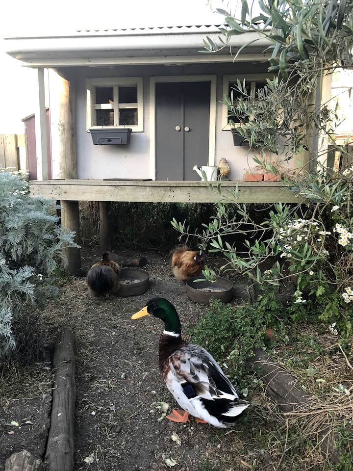 Cabins (Port Campbell, Victoria, Australia)