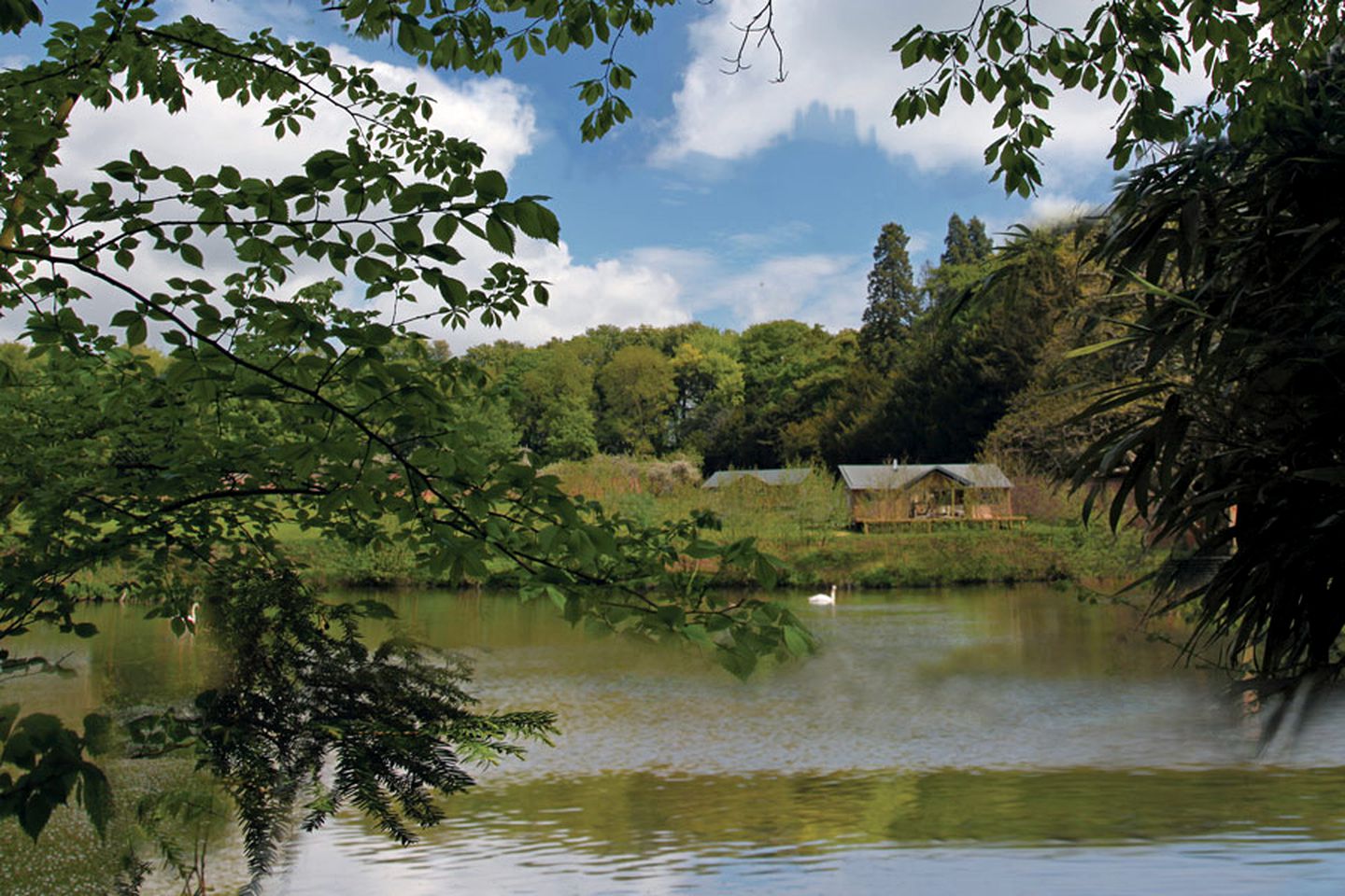 Rustic Tented Cabin for Six Guests in Rutland County, England