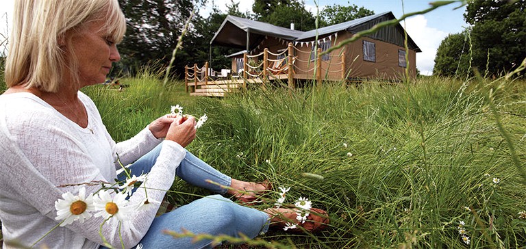 Tented Cabins (Kittisford Barton, England, United Kingdom)