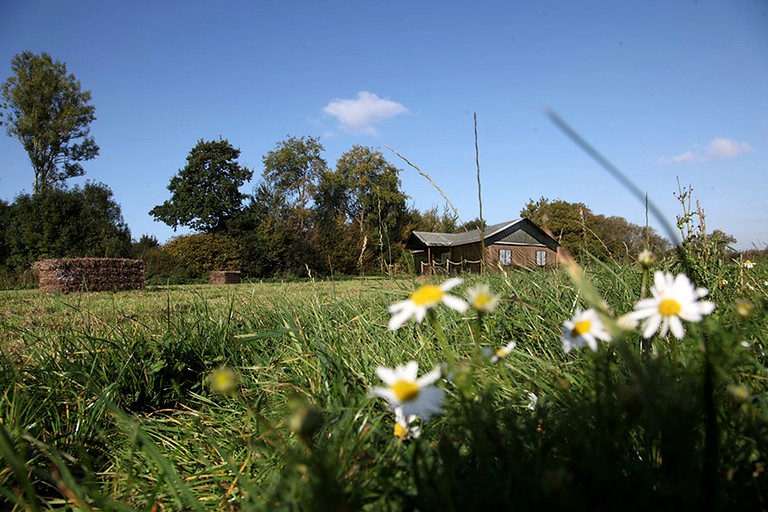 Tented Cabins (Kittisford Barton, England, United Kingdom)