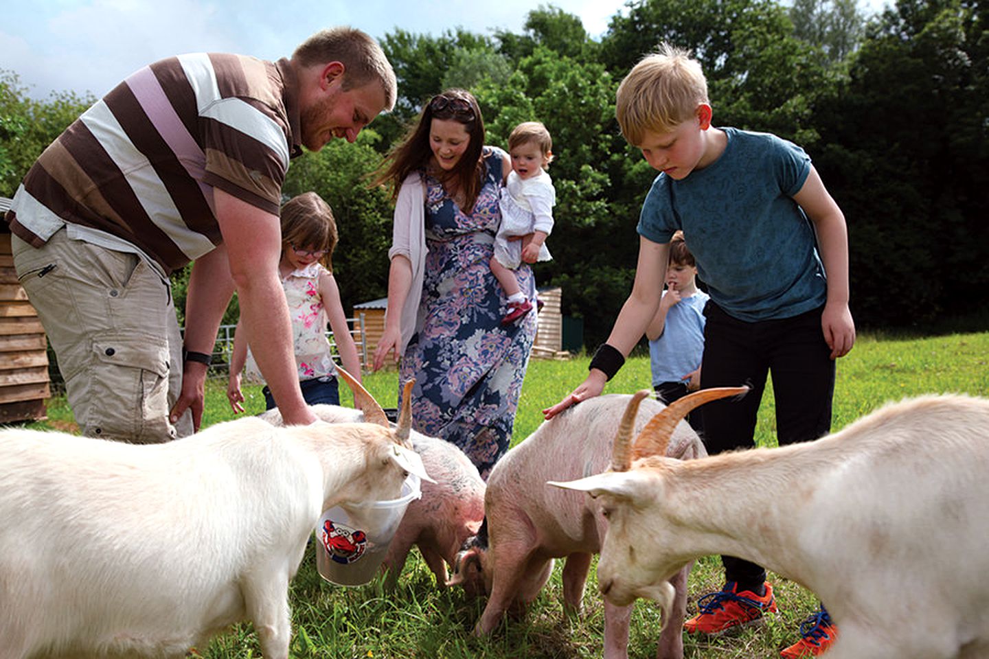 Charming Tented Cabin Located in Kittisford Barton, Somerset, England