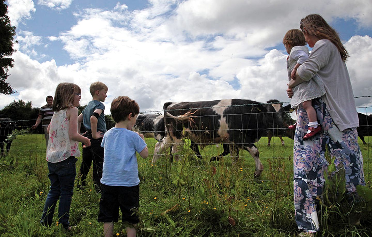 Charming Tented Cabin Located in Kittisford Barton, Somerset, England