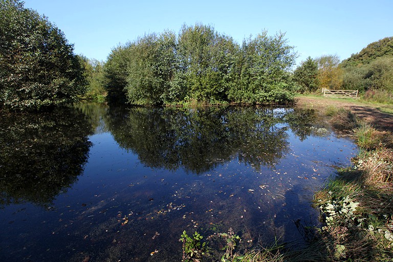 Tented Cabins (Kittisford Barton, England, United Kingdom)